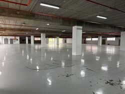 International Road (D22), Factory #611008661